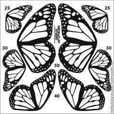 an image of butterflies that are numbered in the shape of a butterfly's wings