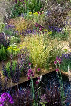 an assortment of plants and flowers in a garden