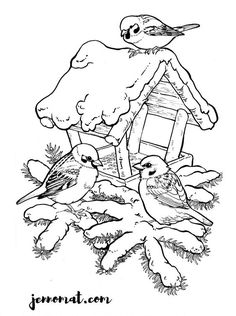 birds are sitting in front of a birdhouse