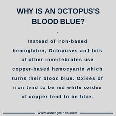 an image with the words, why is an octopus's blood blue? instead of iron - based hemoglobin, octopuses and lots of other inverterates use