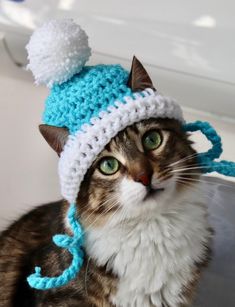 a cat wearing a blue and white knitted hat