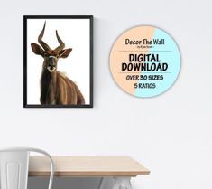 an animal with horns is hanging on the wall next to a table and white chair