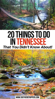 20 Things to do in Tennessee (That You Didn't Know About!) Tennessee Bucket List, Places To Visit In Tennessee, Things To Do In Tennessee, Travel Tennessee, Usa Vacations, Tennessee Road Trip, Southern Usa, Road Trip Places, Tennessee Travel