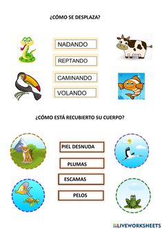 the spanish language worksheet for children with pictures and words to describe what animals are in