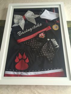 an image of a dog's clothes in a frame