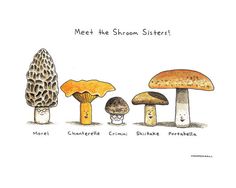 three different types of mushrooms with the words meet the mushroom sisters written below them in black and white