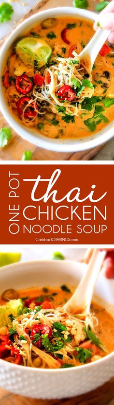 a bowl of chicken noodle soup is shown with the title text overlaying