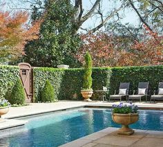 an outdoor pool surrounded by hedges and potted plants with chairs in the back ground