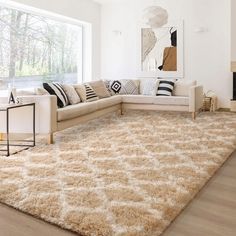 a living room filled with furniture and a large rug on top of a hard wood floor