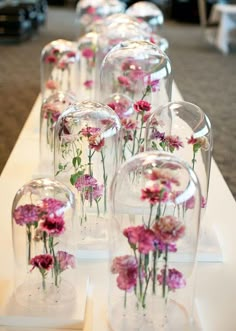 there are many vases with flowers in them on the table and one is empty