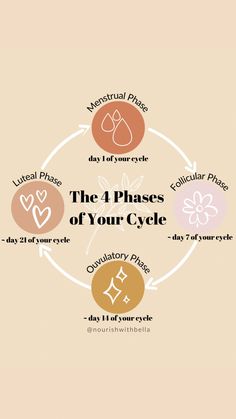 Cycle Syncing Timeline, Discharge Female Chart, Cycle Health, Cycle Chart, Cycle Tracking, 12 Minute Workout, Cycle Syncing, Healthy Hormones, Moon Cycle