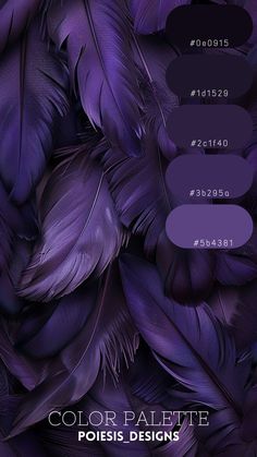 some purple feathers with different colors and numbers on them, all in the same color scheme