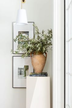 a potted plant sitting on top of a white cabinet next to a lamp and pictures