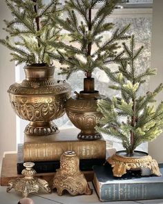 two vases with pine trees in them on top of books and other items next to a window