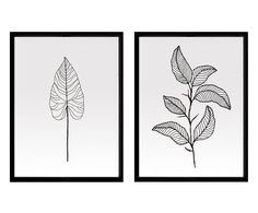 two black and white prints with leaves on the same wall, one has a single leaf