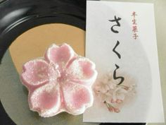 a small pink flower sitting on top of a plate next to a piece of paper