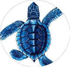 a drawing of a blue sea turtle