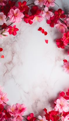 pink and red flowers on white marble background with space for text or image, top view