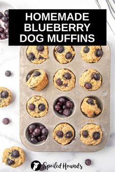 homemade blueberry dog muffins in a muffin tin