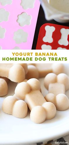 homemade dog treats made with yogurt banana and homemade dog treat mix on a white plate