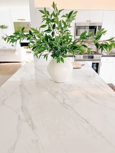 a white marble counter top with a vase filled with green leaves on it and an oven in the background