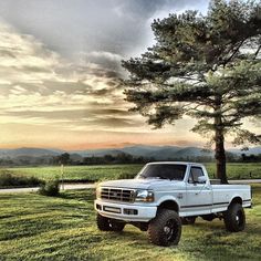 a white truck parked next to a tree on top of a lush green field under a cloudy sky