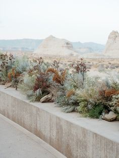 there are many plants growing on the side of this concrete wall in front of some mountains