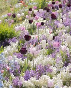 many different colored flowers are in the grass and one is purple, white, and pink