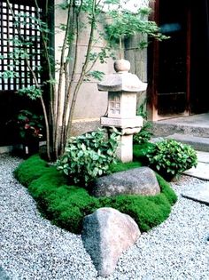 a rock garden with moss growing on the ground and rocks in front of it, next to a small tree