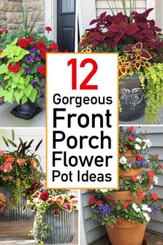 several different types of flowers in pots with the words, 12 gorgeous front porch flower pot ideas