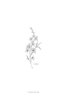 a black and white drawing of some flowers