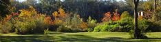 the trees are changing colors in the park