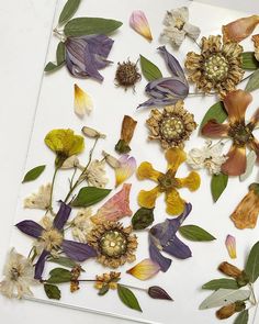 a bunch of flowers that are laying on a piece of paper with leaves and stems