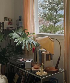 a living room with a plant, lamp and pictures on the window sill in front of it