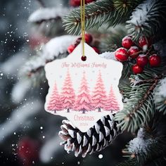 a christmas ornament hanging from a tree with pine cones and berries on it