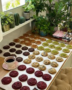 a table topped with lots of cookies next to a potted plant