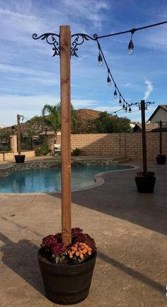 an image of a tree that is in the middle of a pool with lights on it