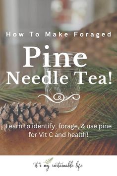 pine needle tea with the words how to make foraged