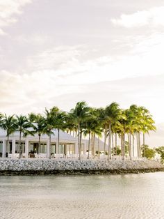 palm trees line the shore of a body of water in front of a white building