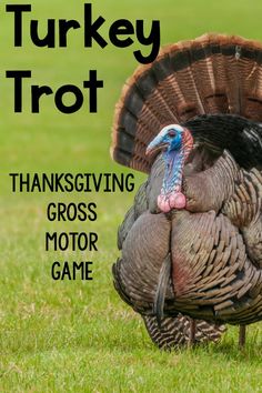 a turkey with the words thanksgiving themed motor planning ideas on it's head in front of green grass