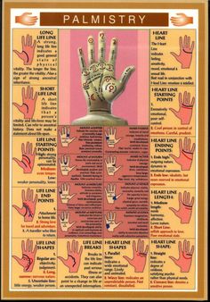 Palmistry Reading, Palm Lines, Palm Reading, Fortune Telling, Reflexology, Spell Book, The Palm, Book Of Shadows