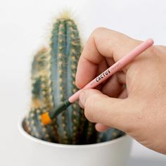 a person holding a pencil in front of a cactus