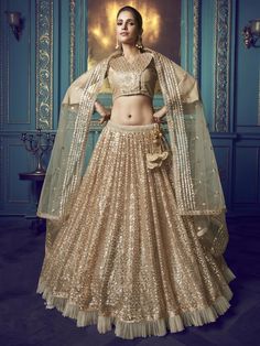 Beige Net Wedding Lehenga Choli with Dupatta - inddus-us Western Lehenga, Sequence Lehenga, Indian Wedding Lehenga, Party Wear Lehenga Choli, Lehenga Online, Net Lehenga, Lehenga Choli Online, Indian Wedding Wear, Indian Lehenga