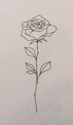 a drawing of a single rose on a white paper