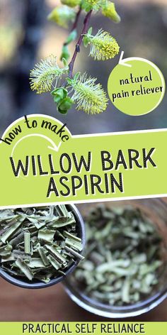 Herbs For Respitory Health, Must Have Medicinal Herbs, Diy Excema Relief, Hawaiian Herbal Medicine, Dried Pine Needle Uses, How To Make Medicine, Herbs For Burns, Pain Relieving Herbs, Herbology Herbal Medicine