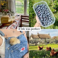 a woman holding a glass container filled with blueberries next to pictures of chickens and eggs