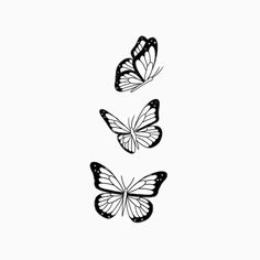 three butterflies flying in the air on a white background, one is black and the other is