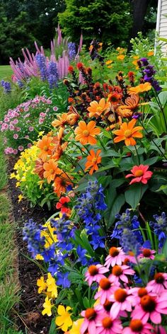 colorful flowers line the edge of a flower bed in front of a white house and trees