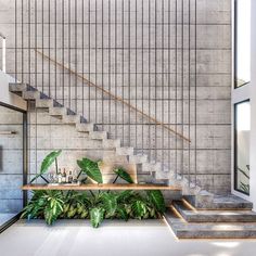 an indoor area with stairs, plants and potted plants on the table in front of it