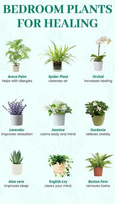 a poster with different types of plants in it